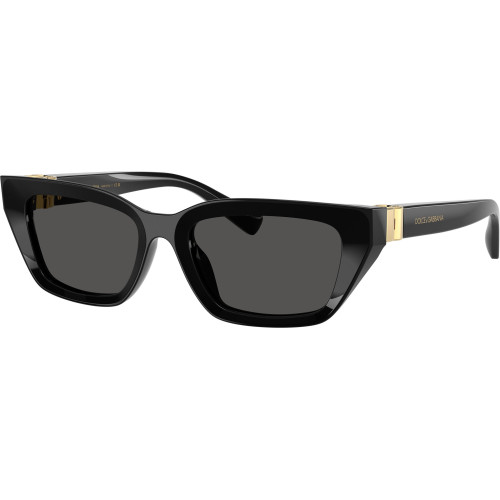 DOLCE&GABBANA DG4532 501/87
